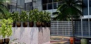 Autodesk 3ds Max di Autodesk