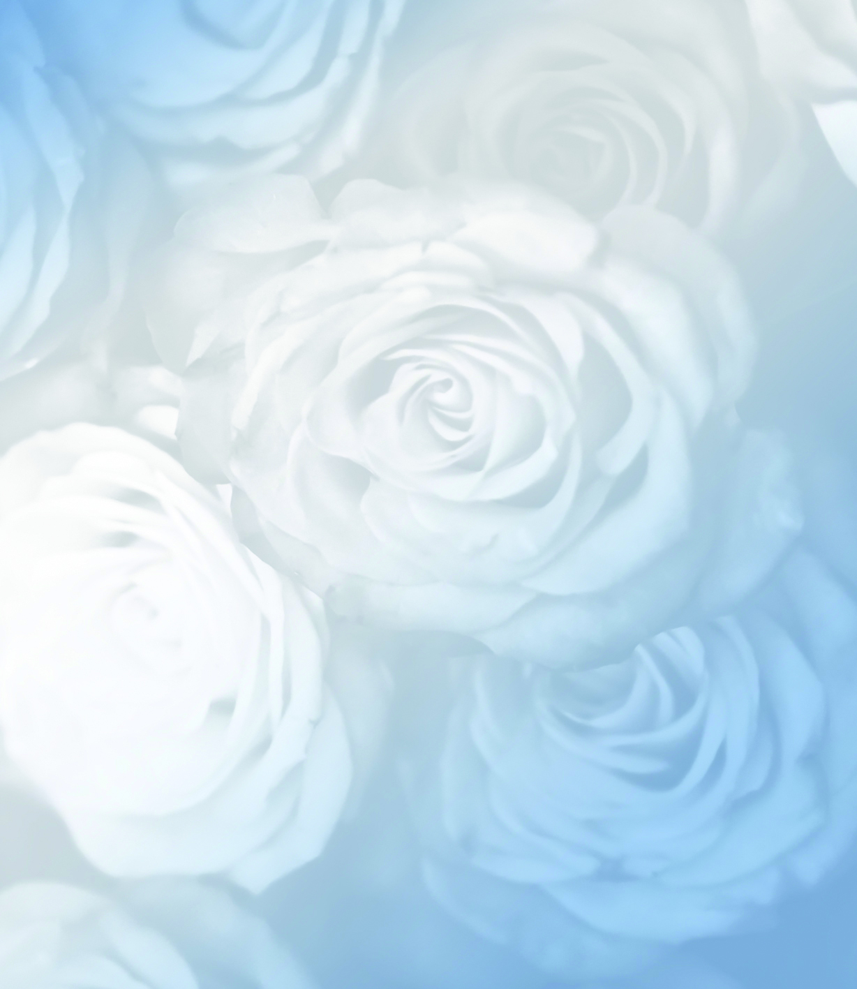 texture 00331-Frozen