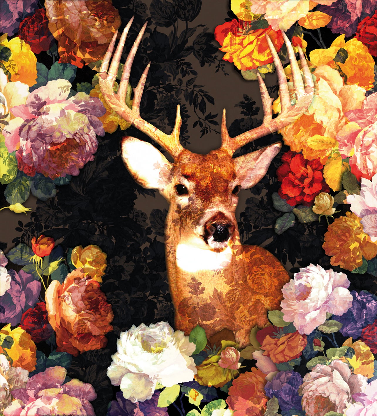 texture 00301-Hunter