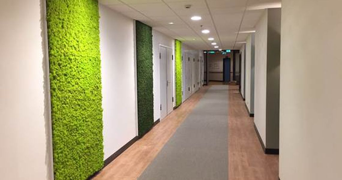 Moss Wall rvt