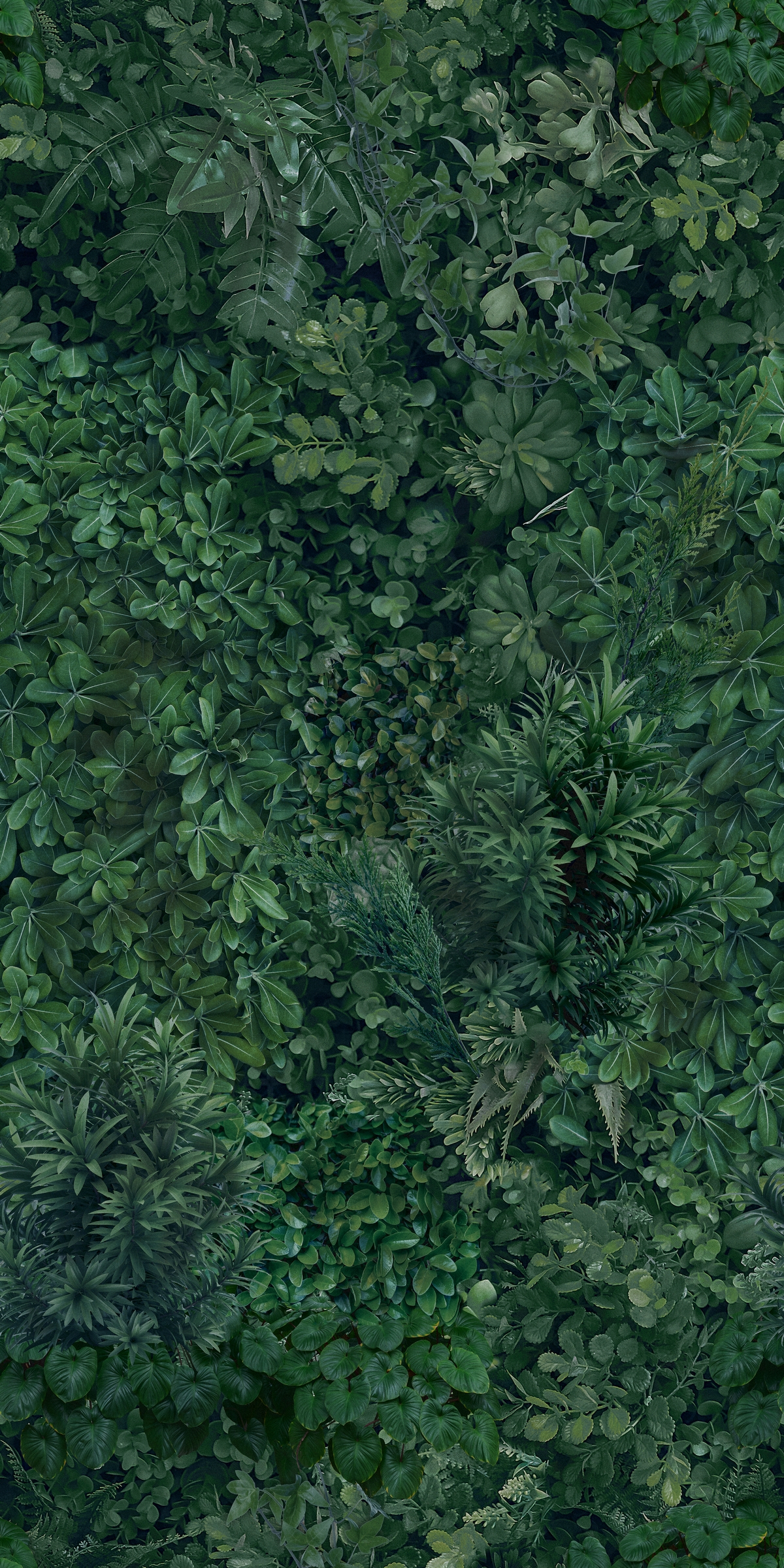Ston Pandan Green Wall Forest L jpg texture 3ds max
