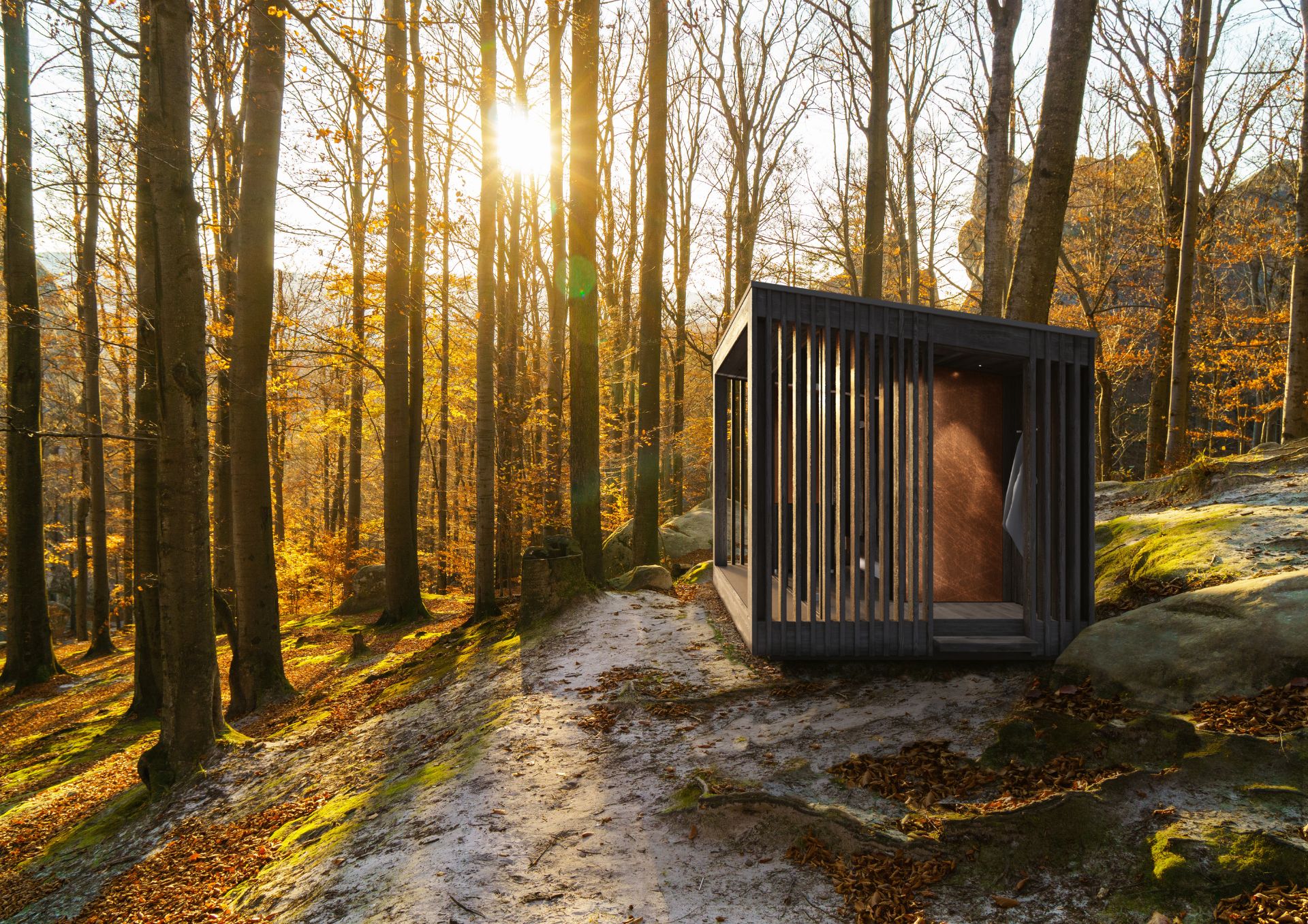 Nature Sauna Pro 