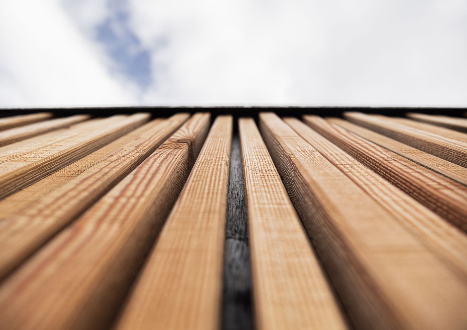 Exterior cladding I.con Sauna and I.con Relax with mood Moutain_ph. Gaia Panozzo