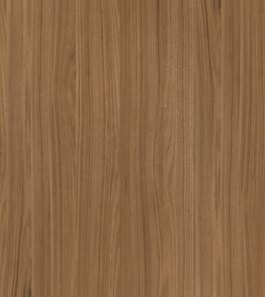 Download Texture Porta Volta No Walnut 