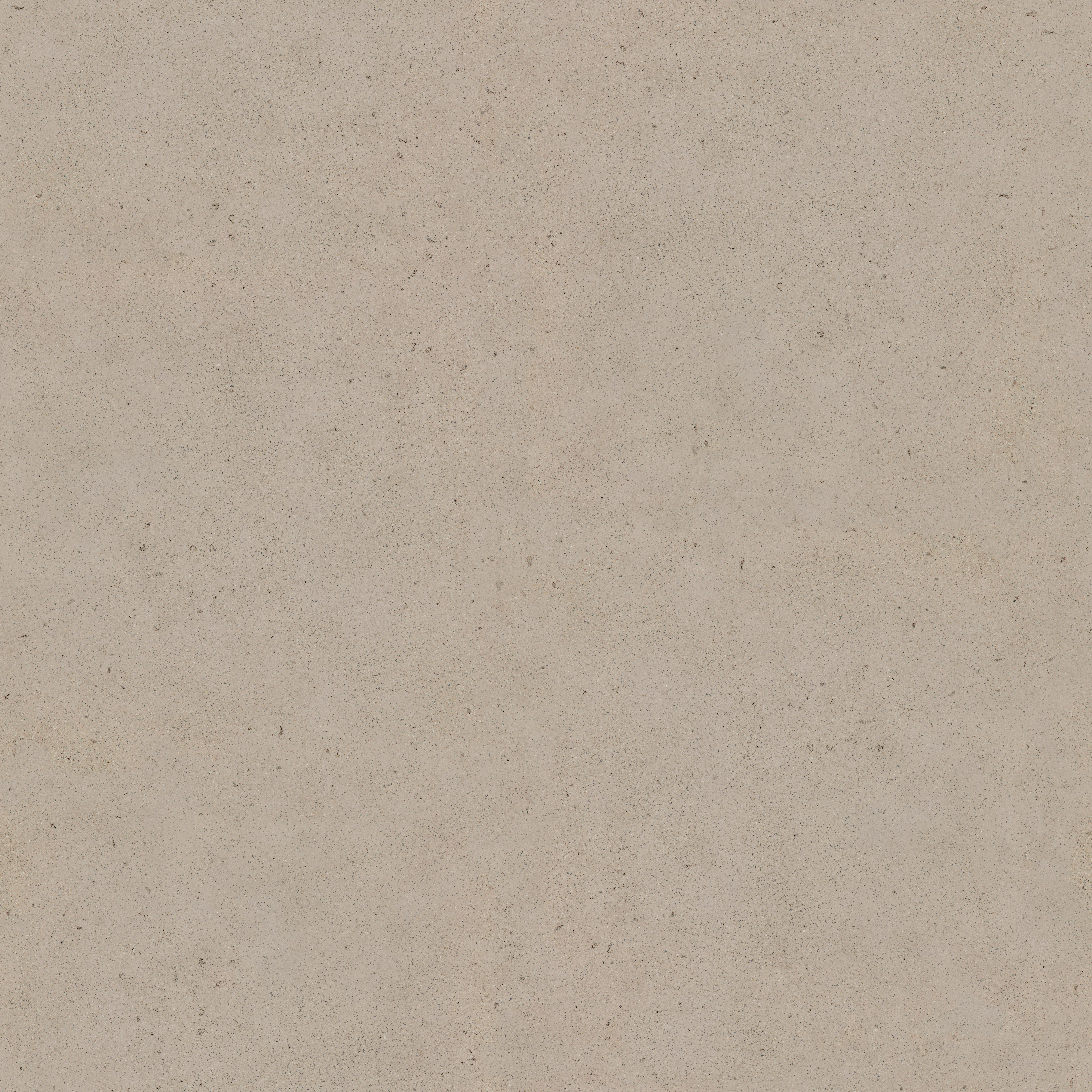 Download 3D texture Materia Viva Pomice 24002