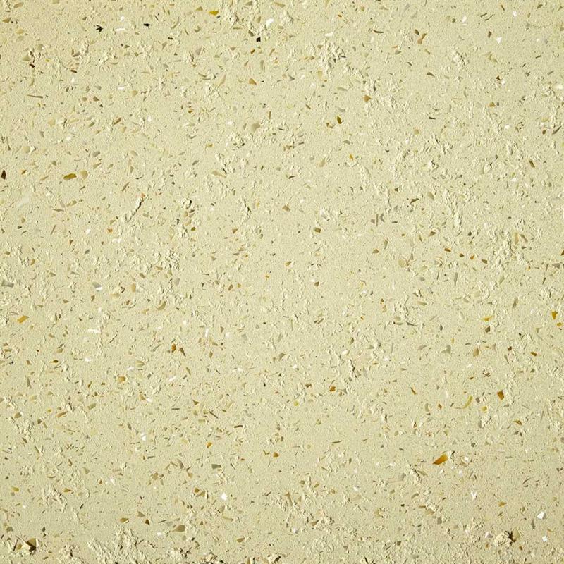 Download jpg Materia Viva Conchiglia 