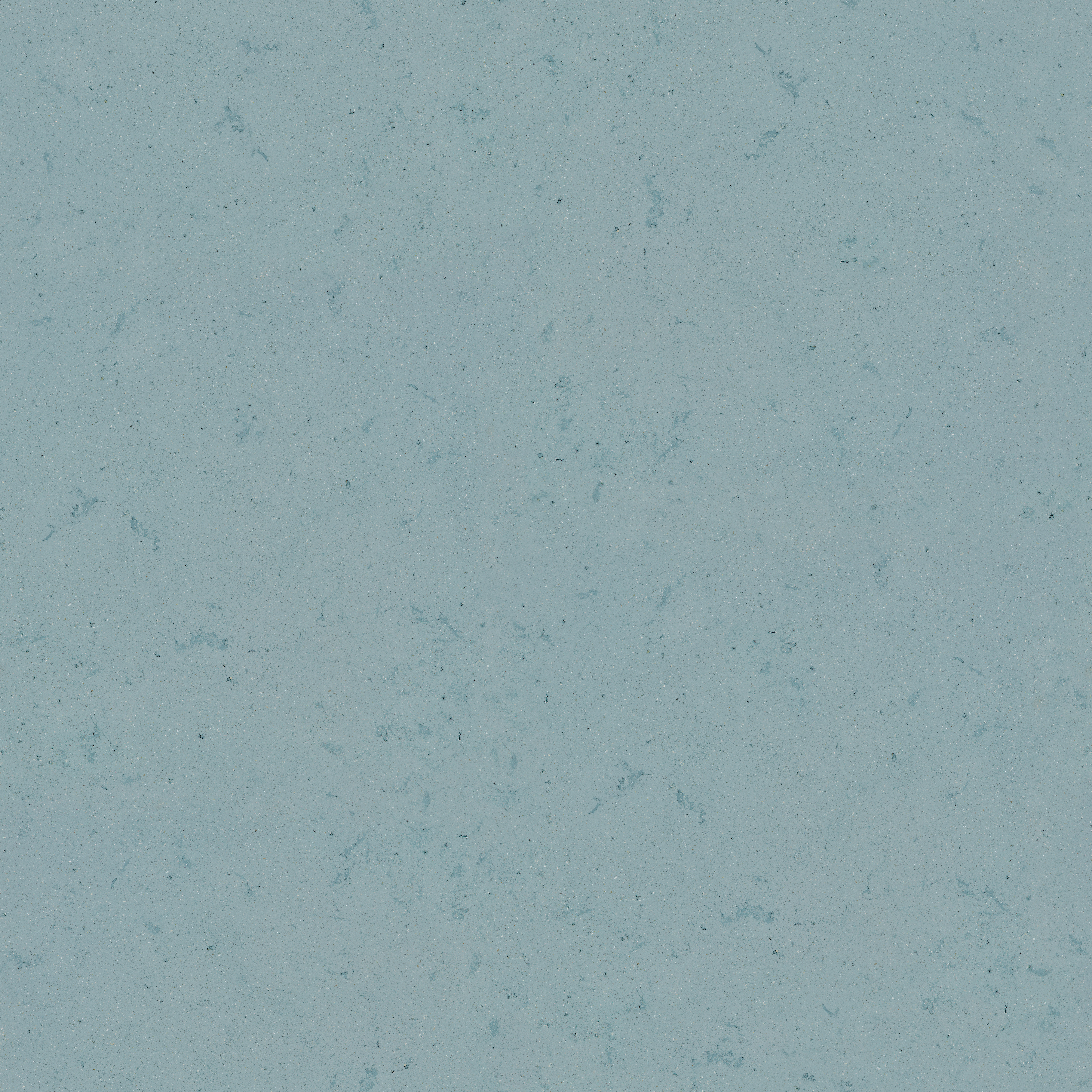 Download jpg img Materia Viva Conchiglia 24009 