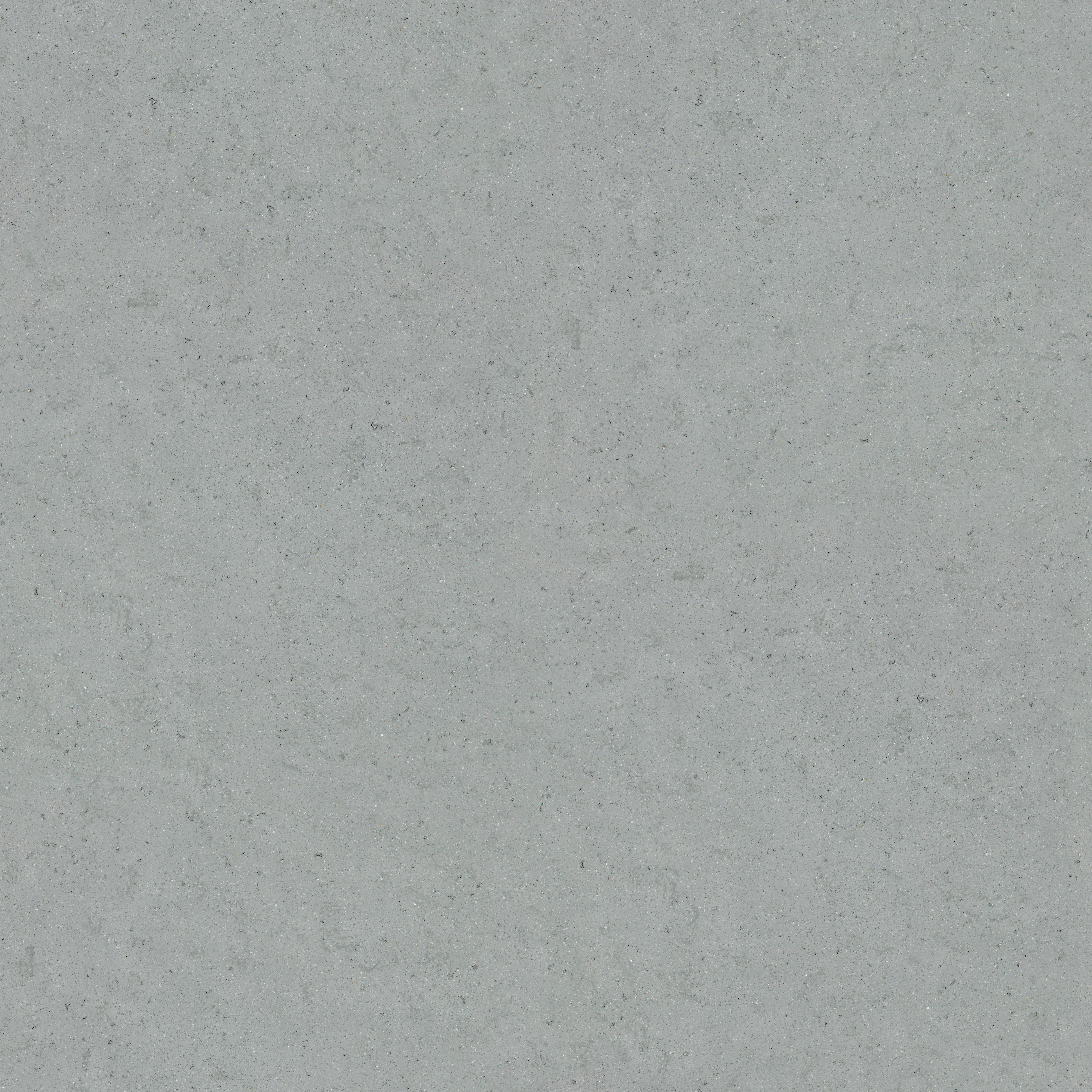 Download 3D Texture Materia Viva Conchiglia 24010