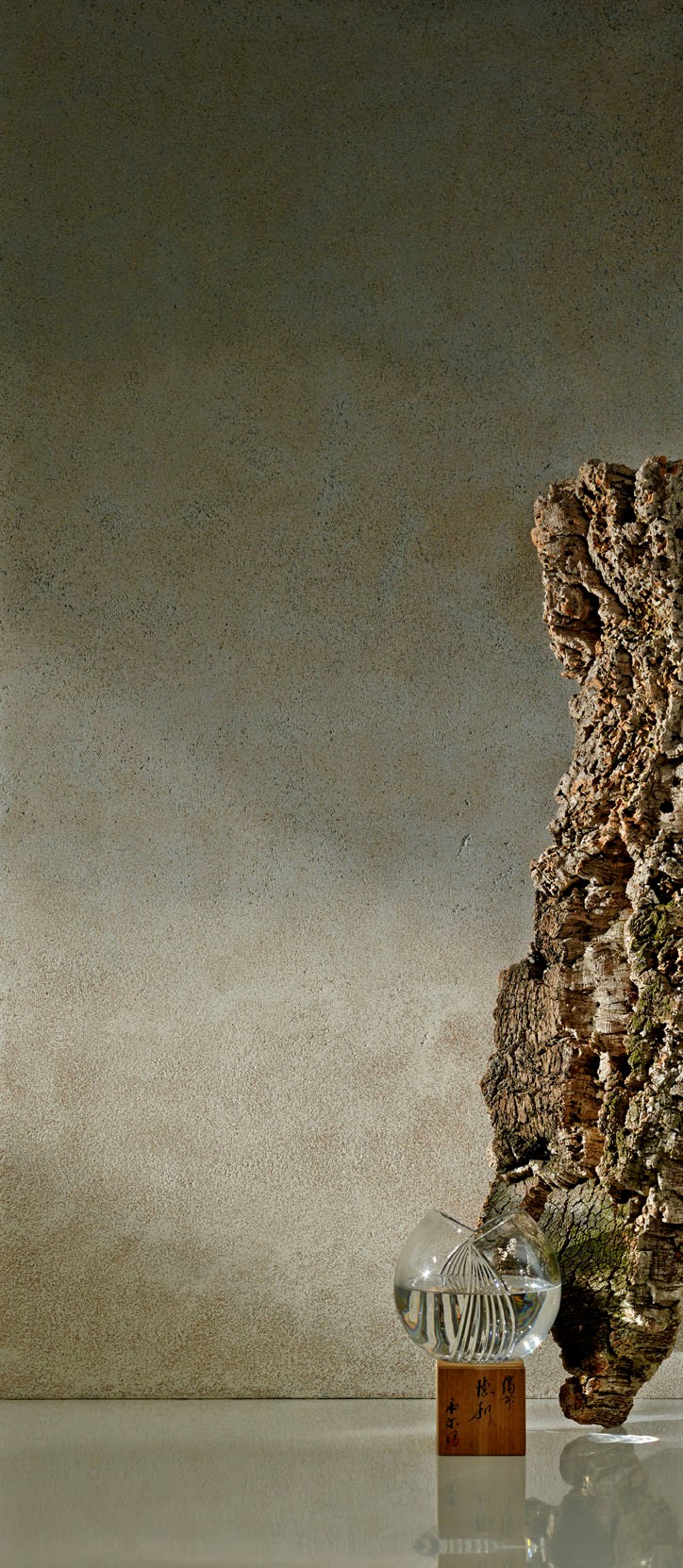 Download jpg img Viva Sughero 2 