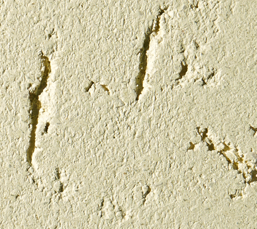 Download 3D Texture Archi+Argilla 205