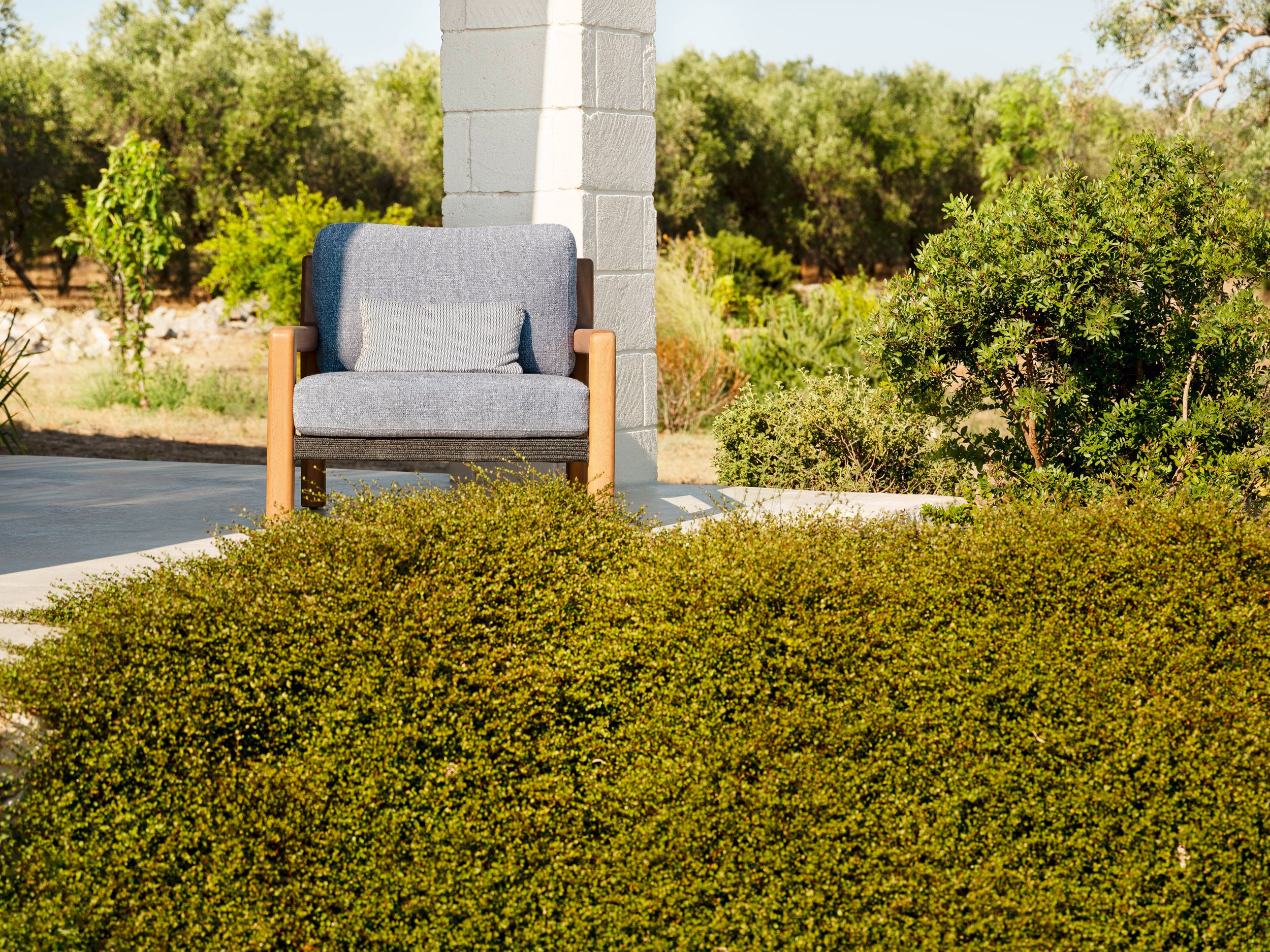 Download jpg img Gianna Armchair Iroko 12