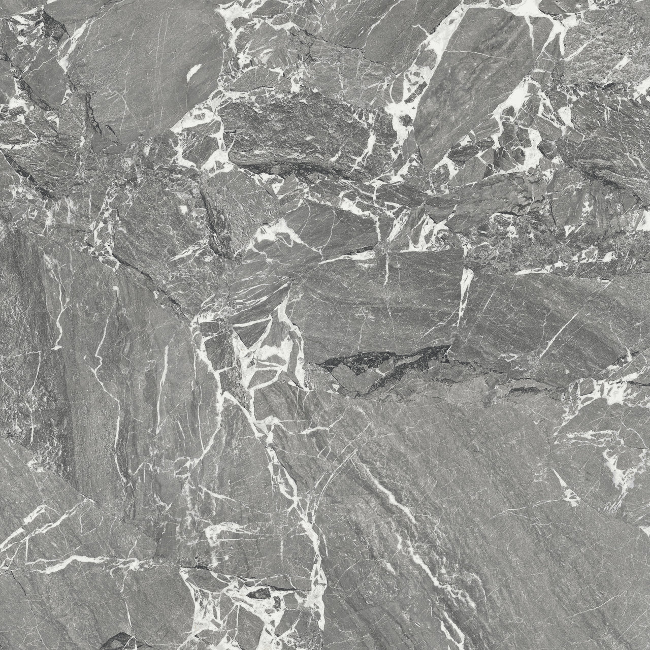 Download jpg img Arabescato Grigio 120X120 F03 Lexicon Fiandre