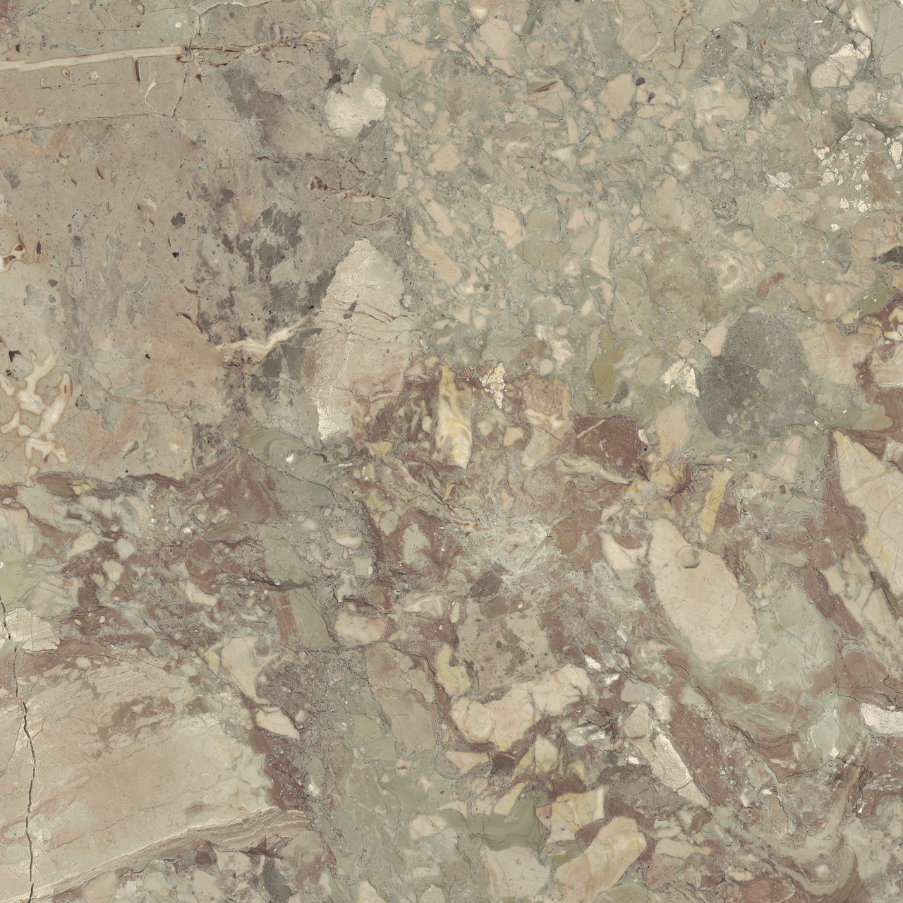 Download 3D Texture Ceppo Aragona 120X120 f5 Fiandre Lexicon