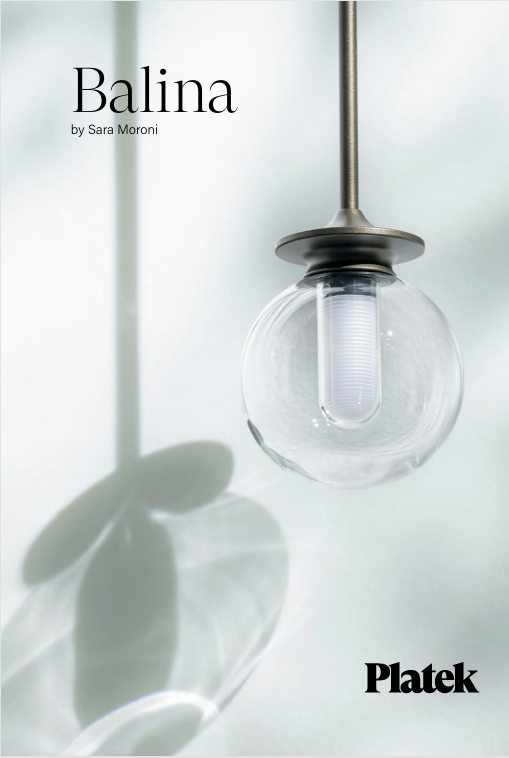Download Platek Brochure Balina informa