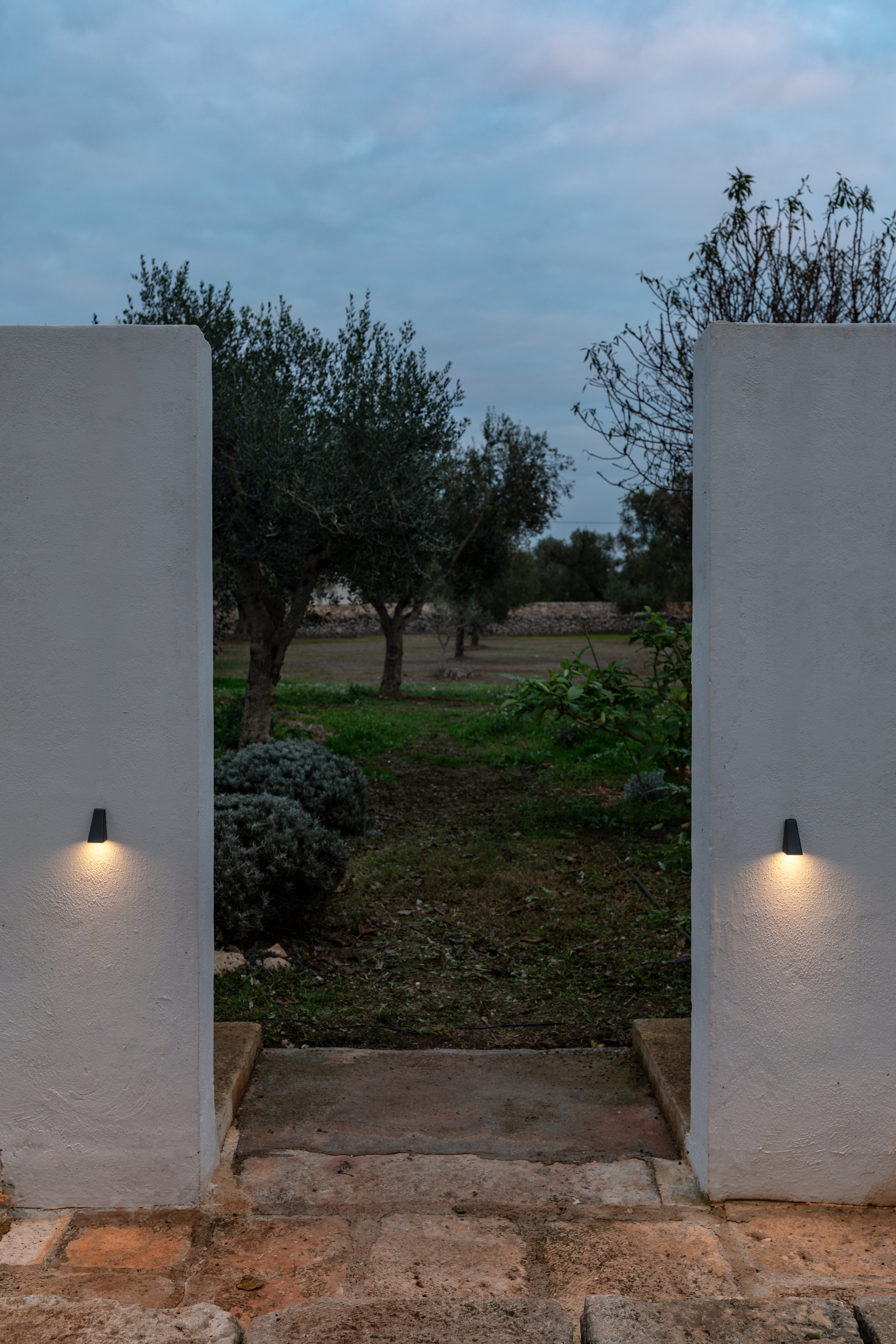 Download jpg img Tikal 11 ph Fiona Walker Arnott