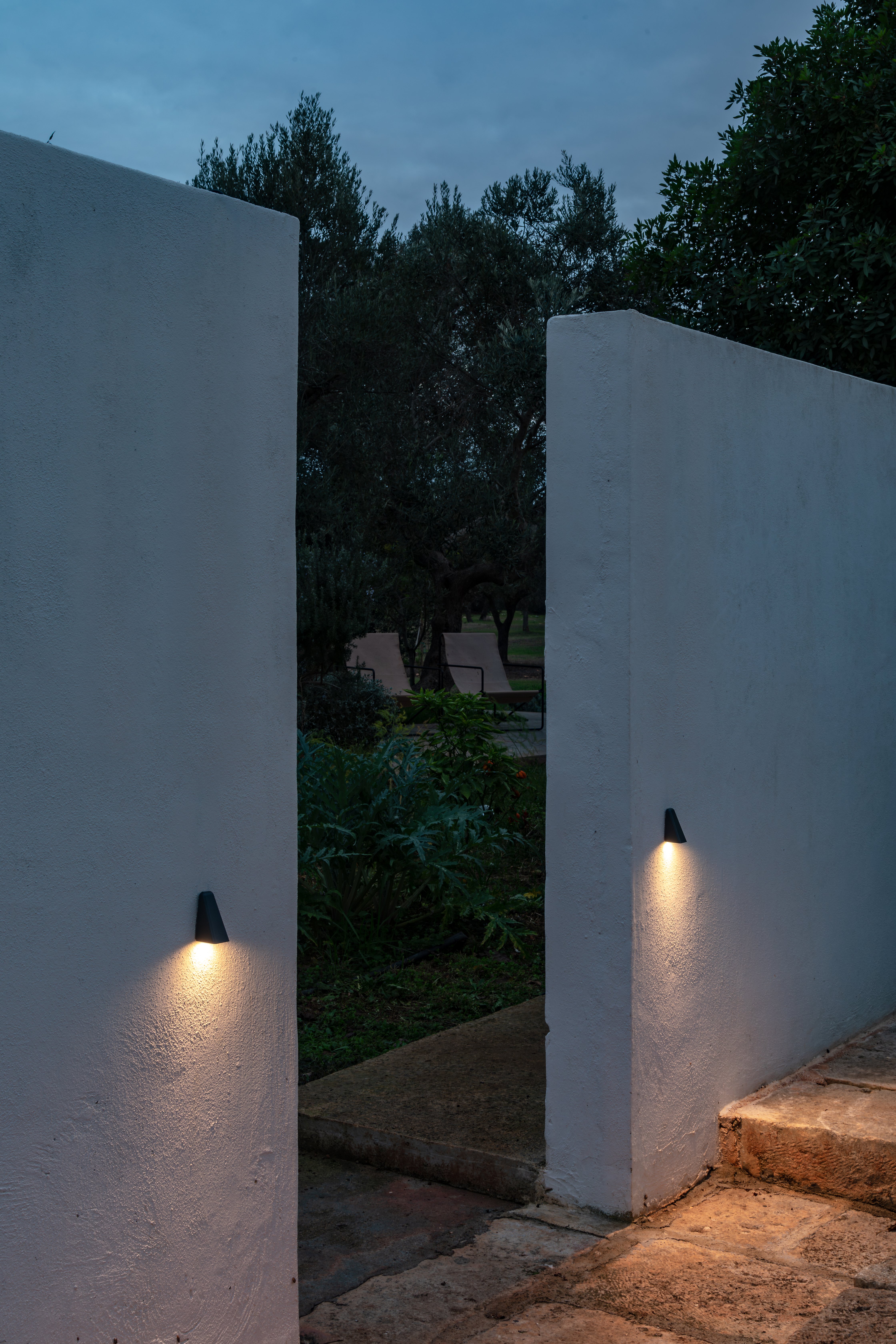 Download jpg img Tikal 12 ph Fiona Walker Arnott Platek