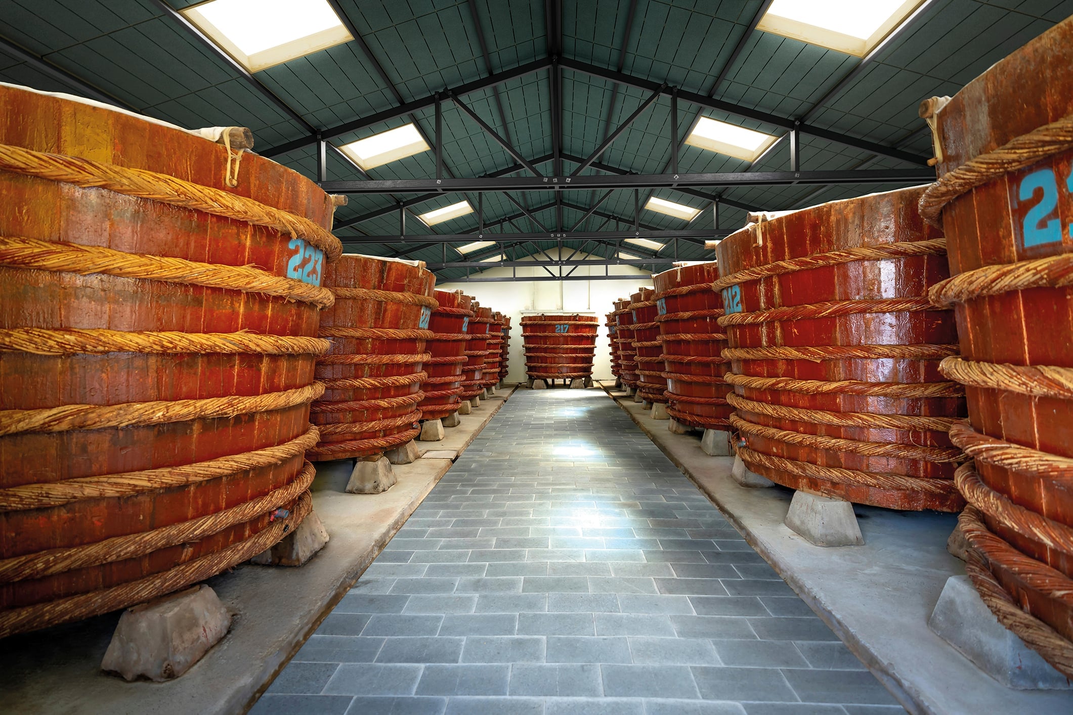 Novelloarch - Forza7, distilleria