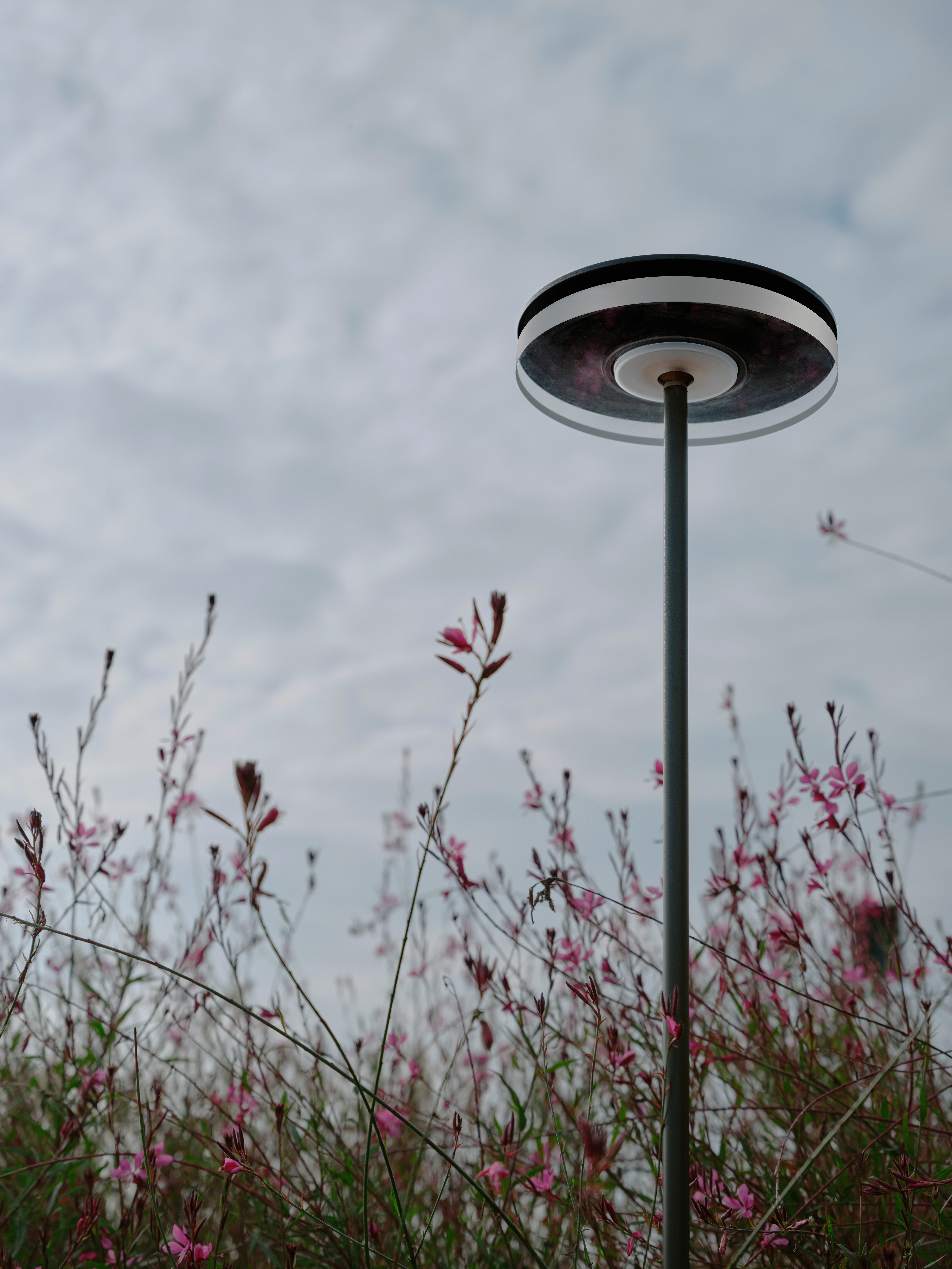 Download jpg img Chiodo Cascina Gallerej Ph. Francesca Iovene 12