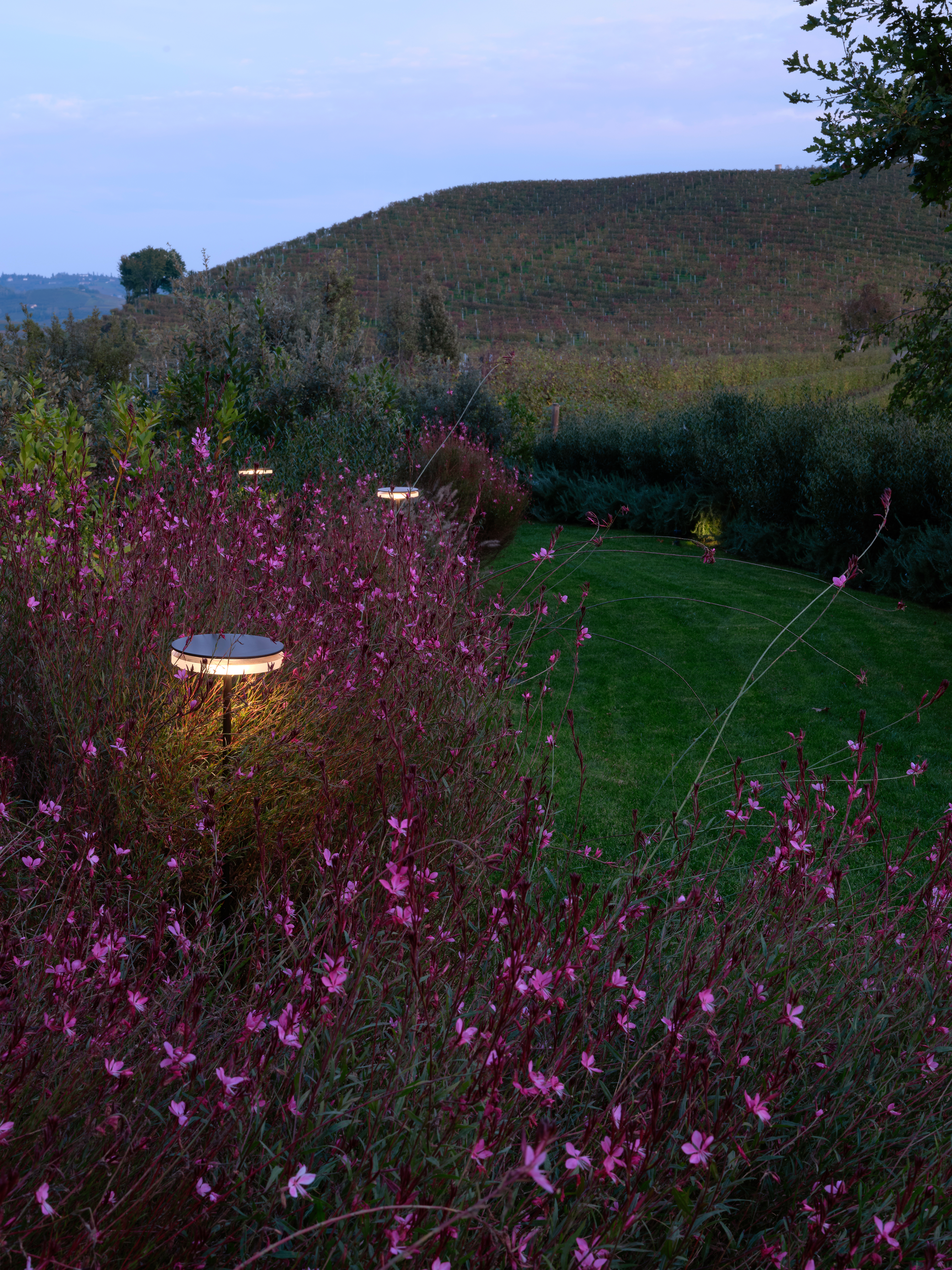 Download jpg img Chiodo Cascina Gallerej Ph. Francesca Iovene 26