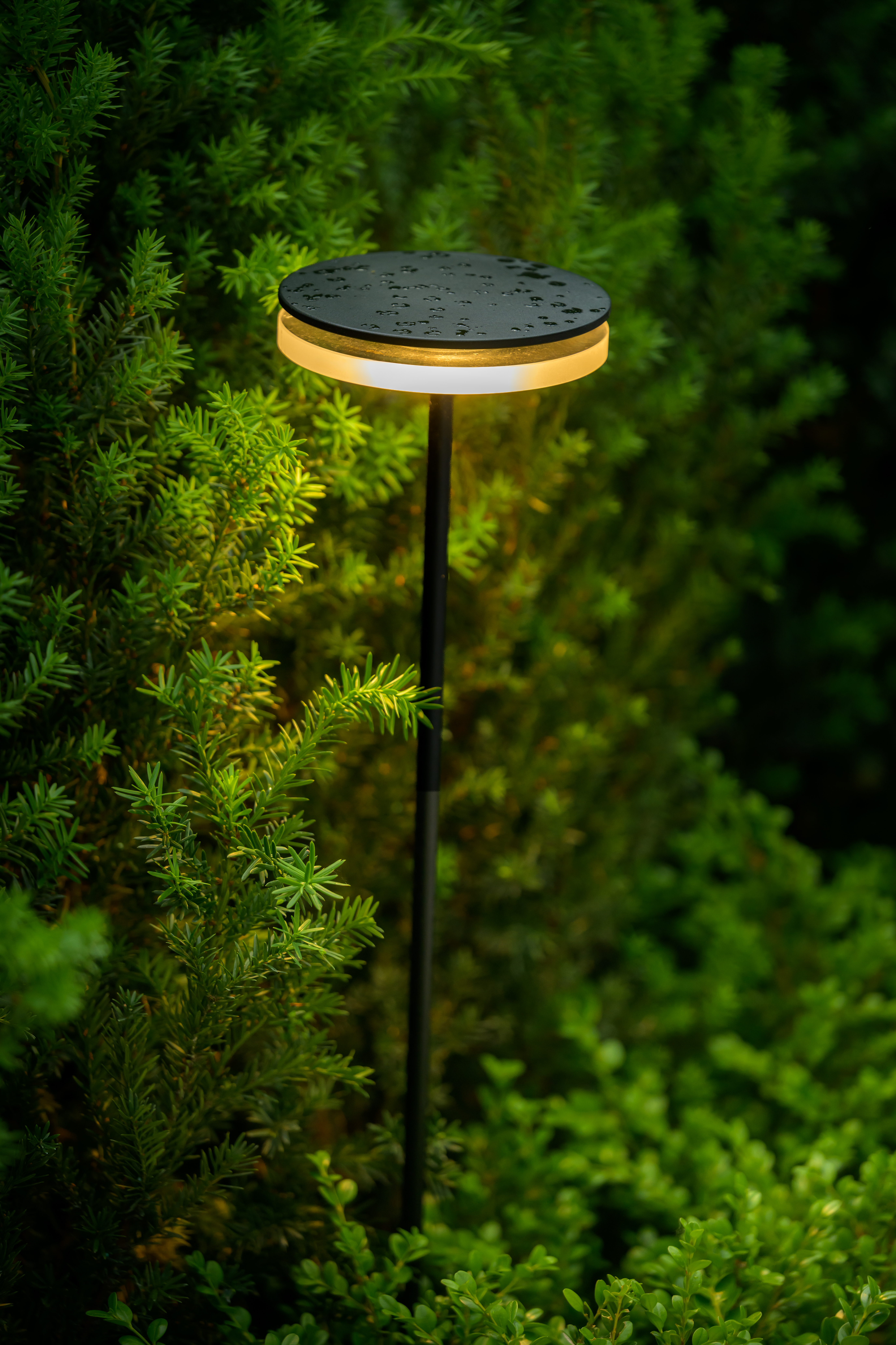 Download jpg img Chiodo Bollard 51 Platek