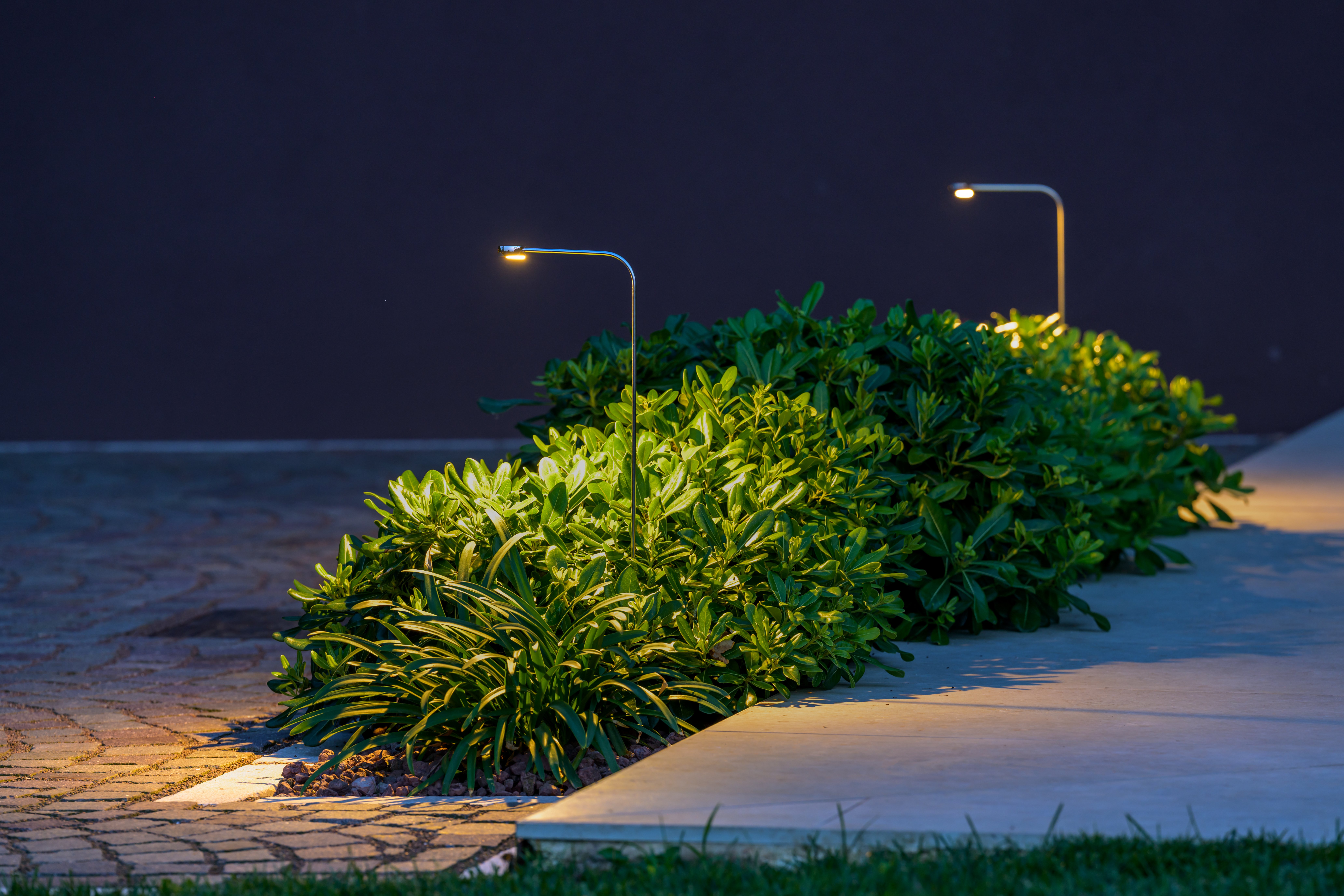 Download jpg img Dot 48 ph.Ottavio Tomasini 