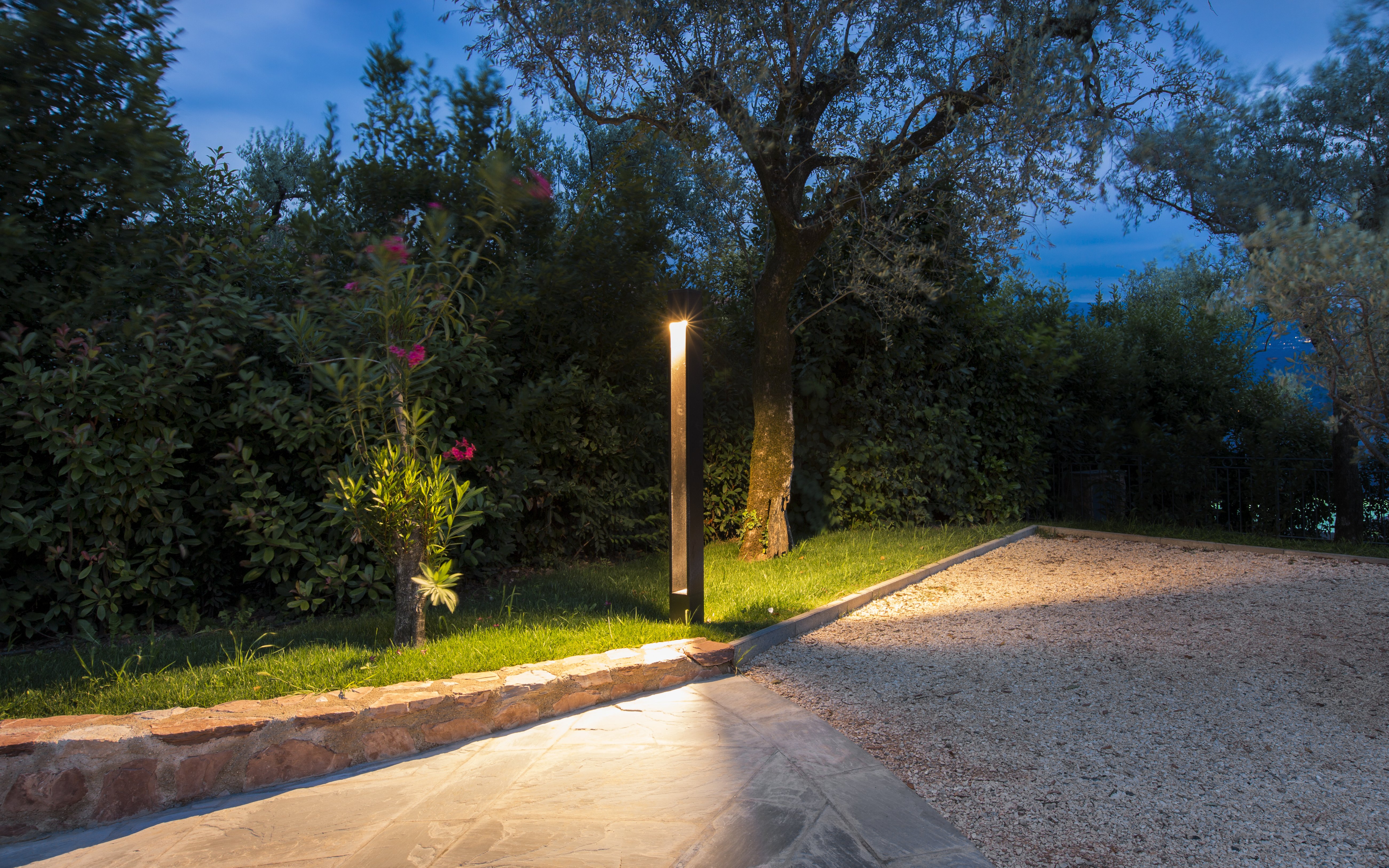 Download jpg img Tetra Parco 1300 03 Platek