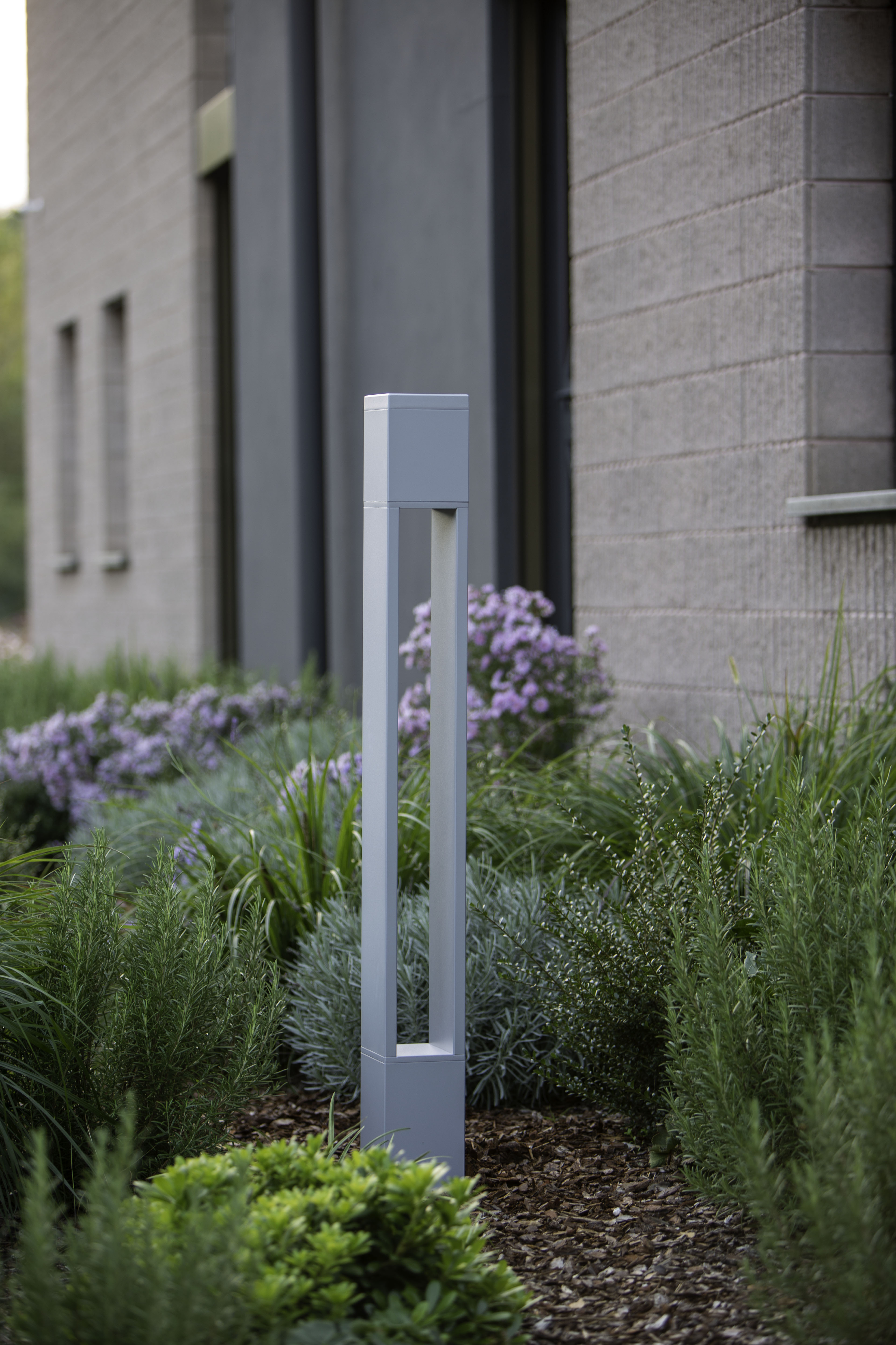 Download jpg img Tetra Parco 1300 04 Platek