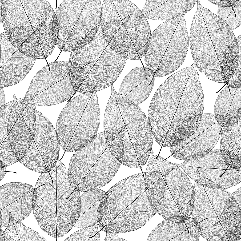 Download 3D Texture CementPro Giant Leaves 400X400 Foliae
