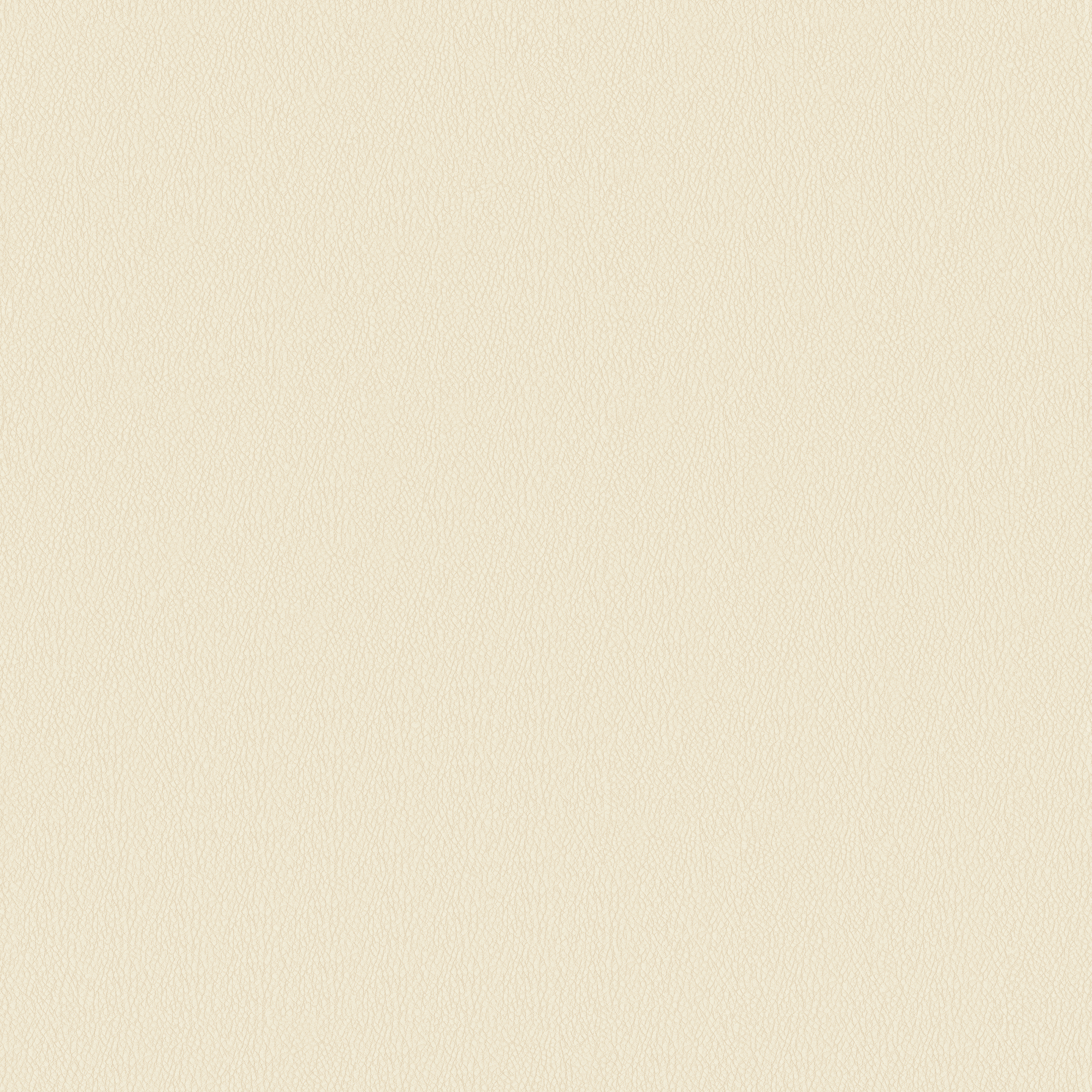 Download 3D texture Ivory synthetic leather 