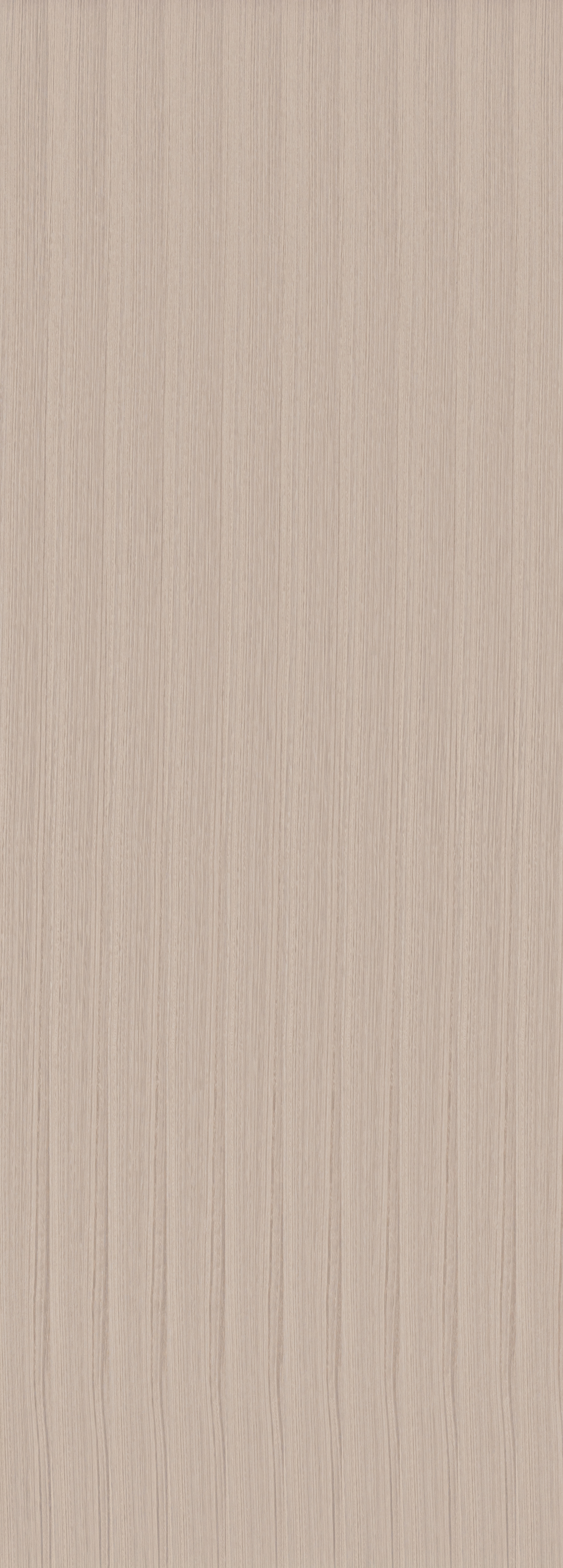 Download jpg img Wood Eucalipto Frisè Bleached