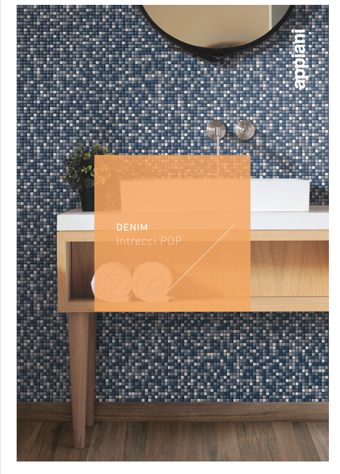 Download pdf catalogue denim Appiani