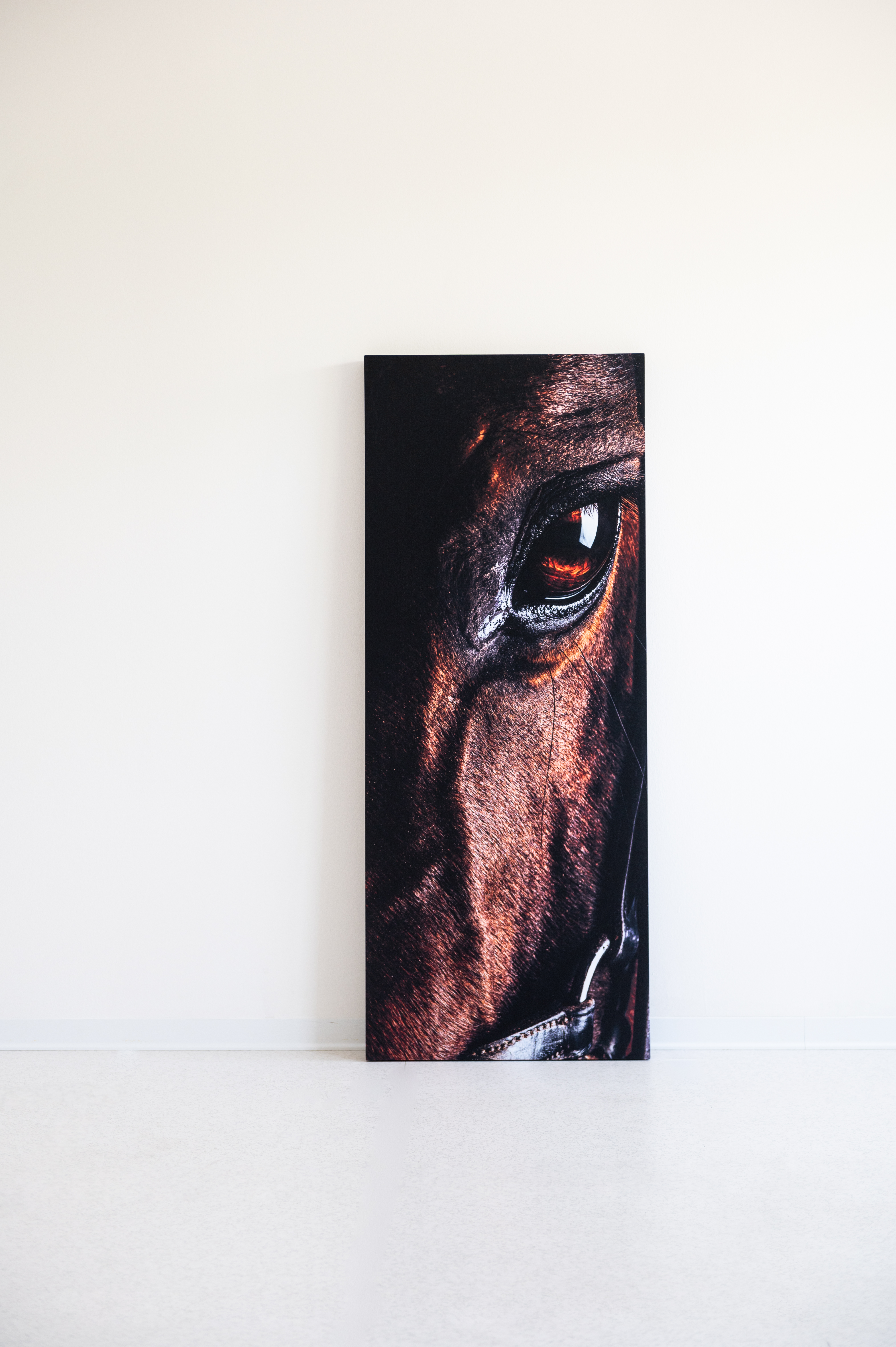 Download jpg img Wall print 1 LvB Quartetto LVB 
