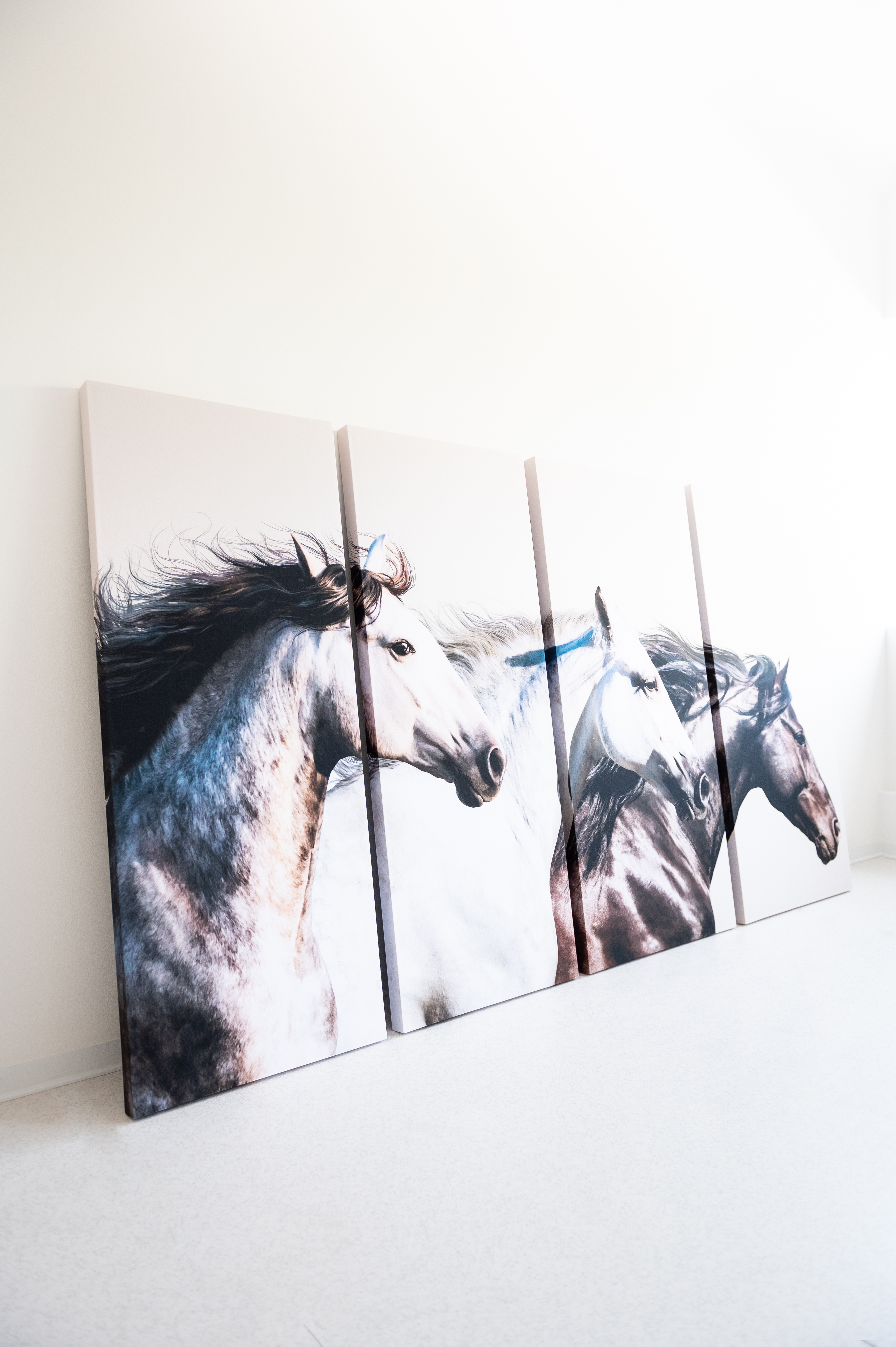 Download jpg img Wall print 3 Lvb Quartetto