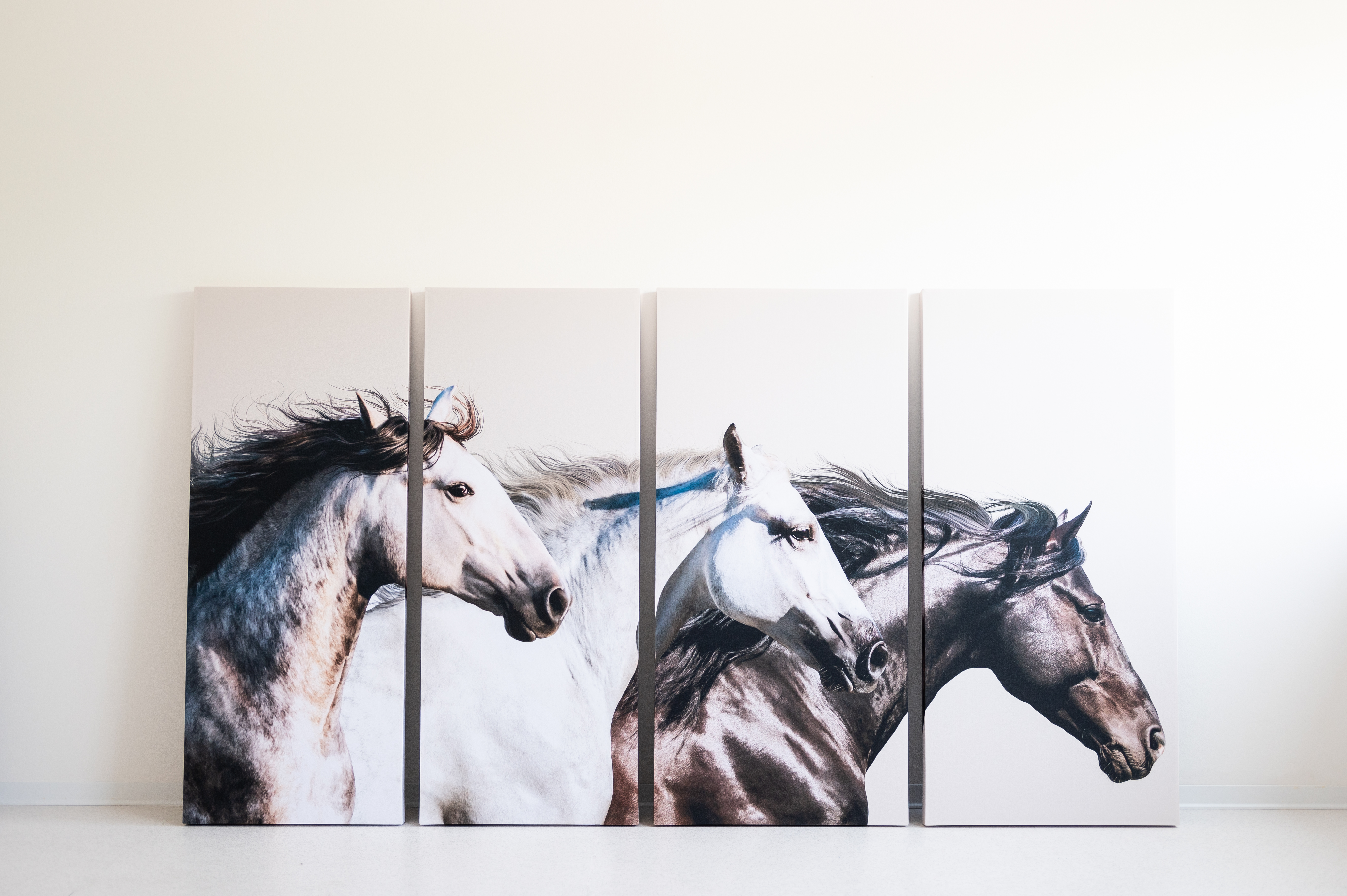 Download jpg img Wall Print 6 LVB Quartetto Parete stampa