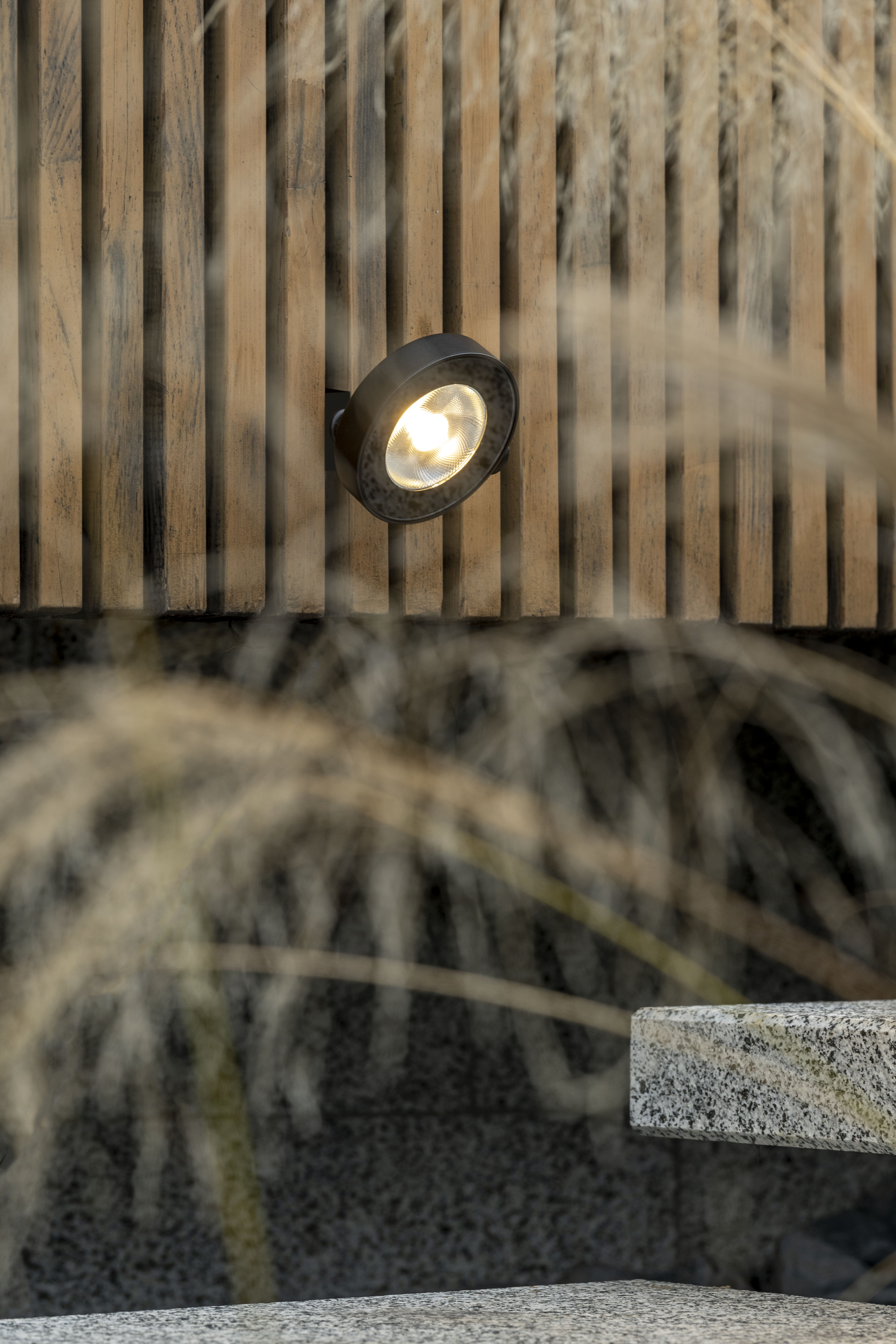 Download jpg img Frog floodlight 01 Platek