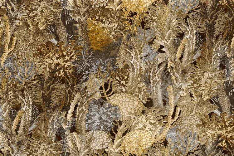 Download 3D Textures Coral