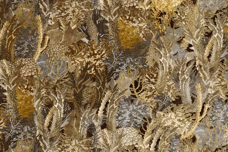 Download 3D Textures Coral