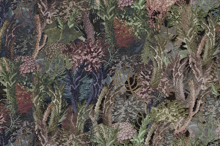 Download 3D Textures Coral