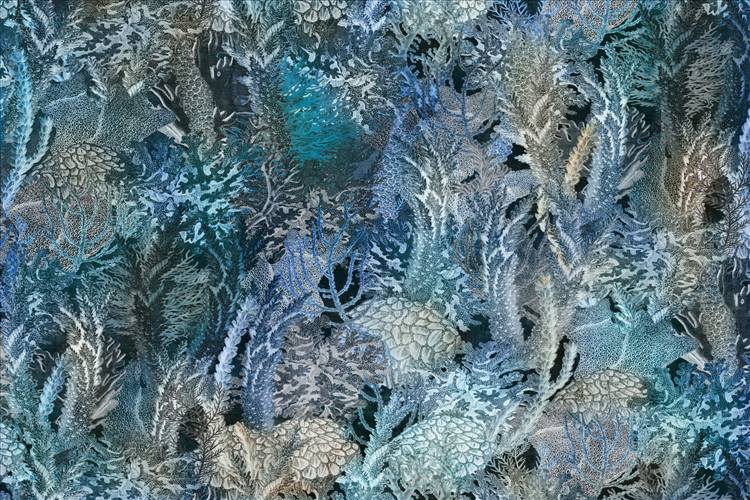 Download 3D Textures Coral