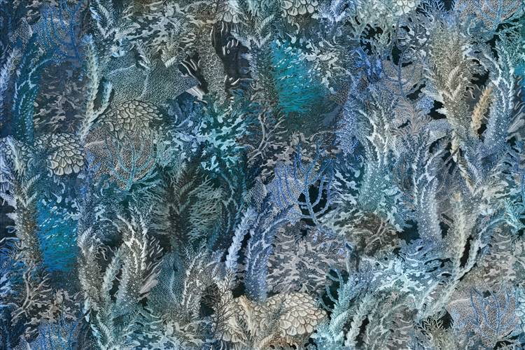 Download 3D Textures Coral