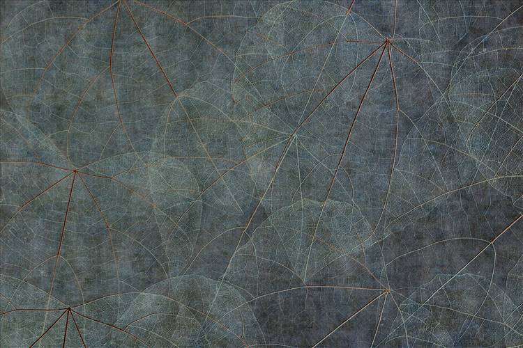 Download 3D Textures Equinox