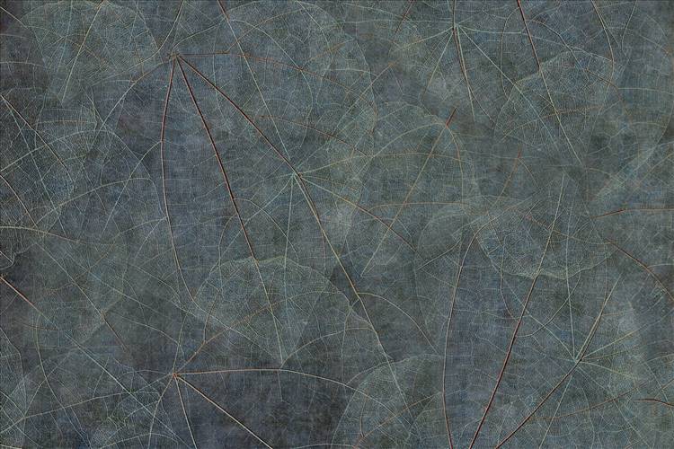 Download 3D Textures Equinox