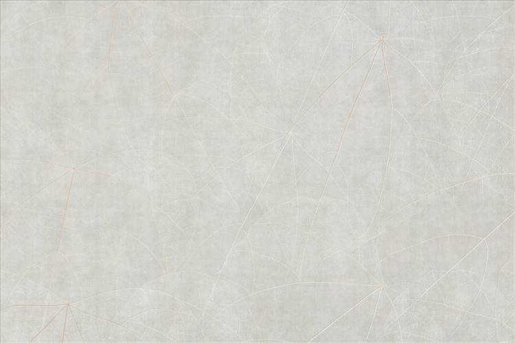 Download 3D Textures Equinox