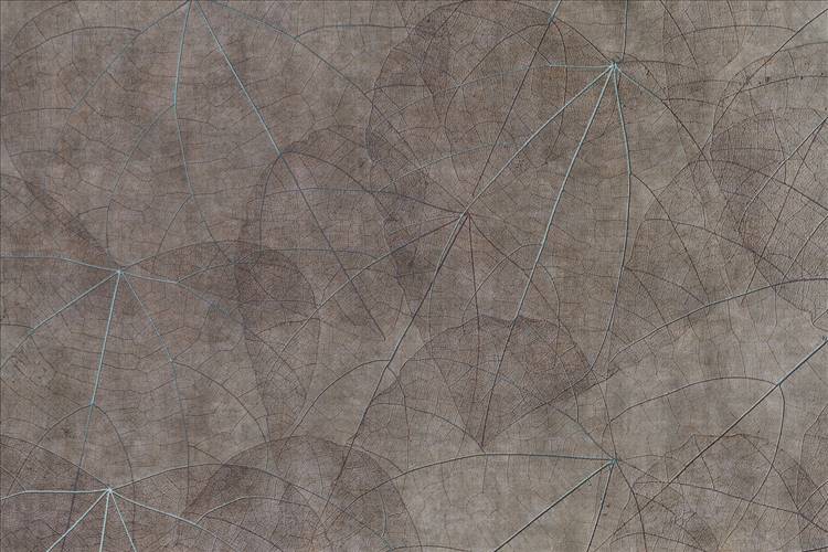Download 3D Textures Equinox