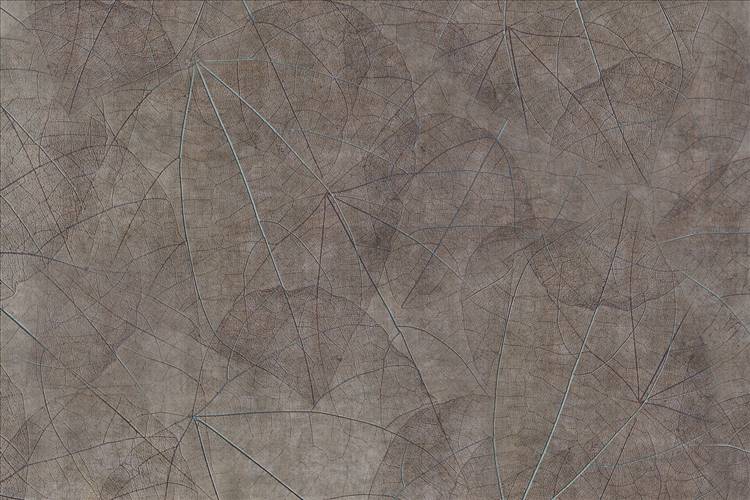 Download 3D Textures Equinox