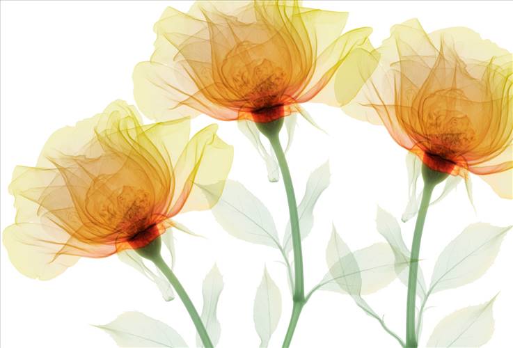 Download 3D Textures Inner Sense