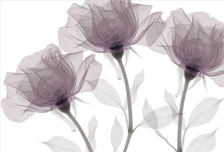 Download 3D Textures Inner Sense