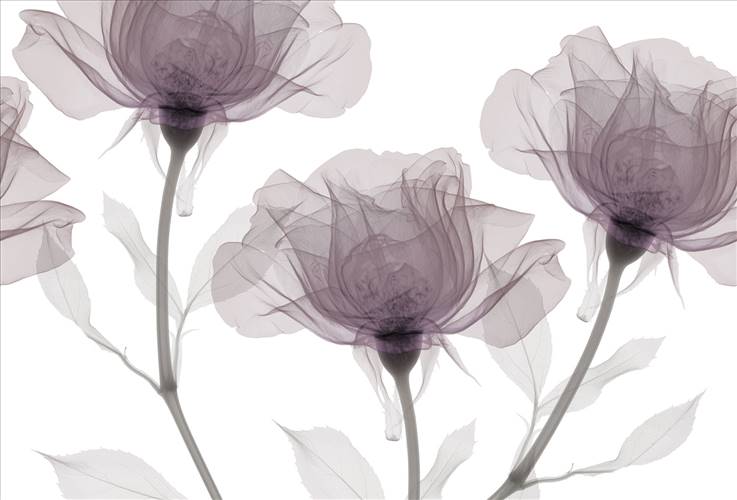 Download 3D Textures Inner Sense