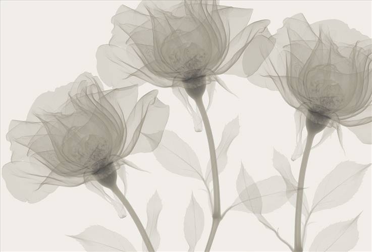 Download 3D Textures Inner Sense