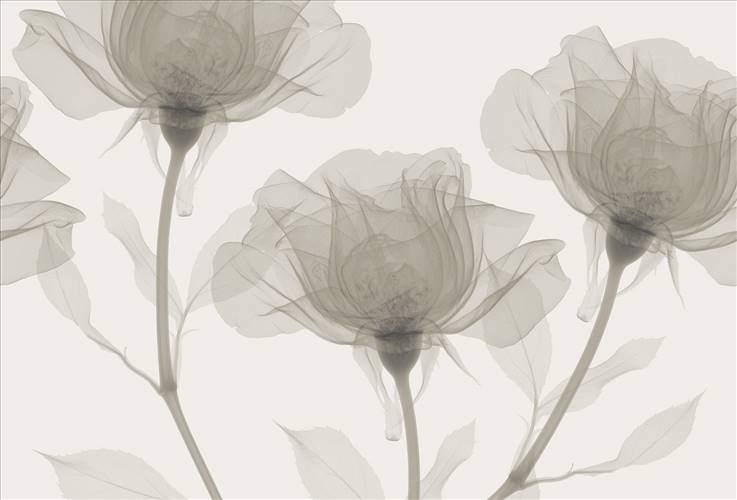 Download 3D Textures Inner Sense